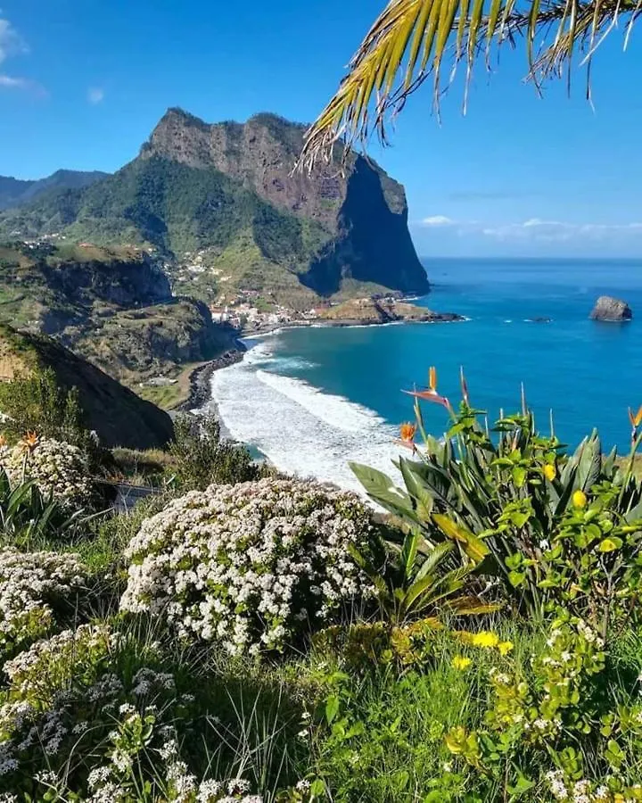 Funchal Center Apartment I 0*,